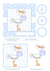 NOT THE STORK THAT BRINGS THE BABY BOY BIRTH CARD FRONT TOPPER