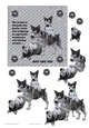 JUST LIKE YOU HUSKY 1