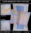EASTER BUNNIES BOY TWIST & POP CARD