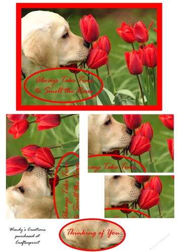 Thinking of You card front