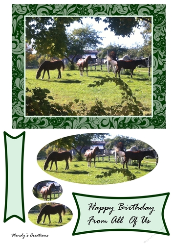 Happy Birthday from all of Us