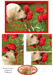 Thinking of You card front