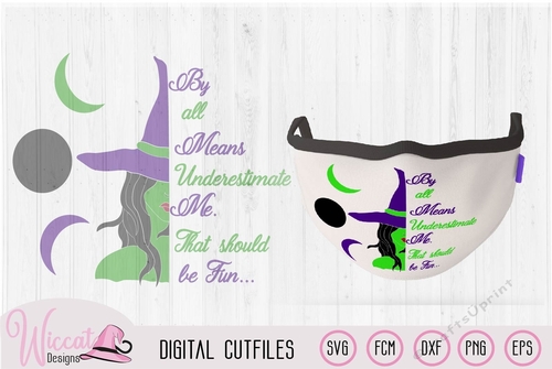 Green Witch with funny quote, Witch quote, Halloween decoration, scanncut vinyl craft