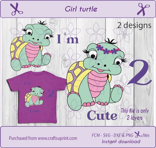 Turtle girl  birthday two  second birthday t shirt design SVG cut file 