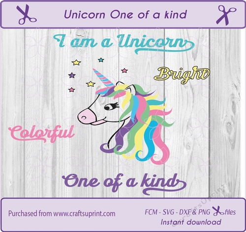 Unicorn face, horse, t shirt design, rainbow Svg cut file