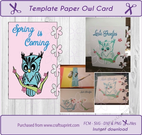 Owl spring Card, Template card, woodland animal, Cut file for all cut machines