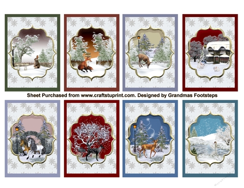 Winter Wildlife