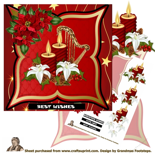 Poinsettia Dream