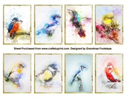 Birds