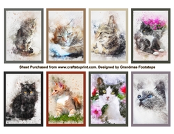 Cats