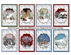 Winter Wildlife