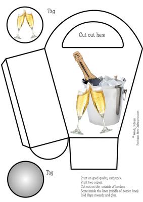 Champagne Celebration Gift Bag / Box