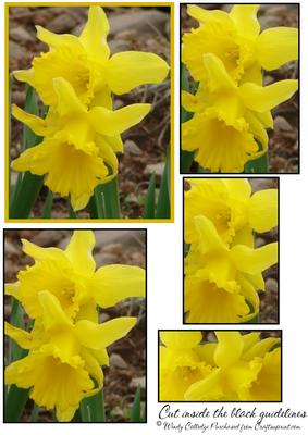 Daffodils Pyramid Topper - Pyramage