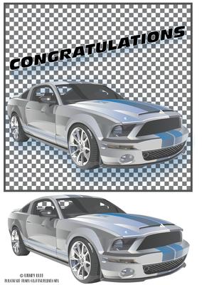 Rally Car Maculine Topper