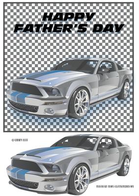 Rally Car Masculine Topper / Dad