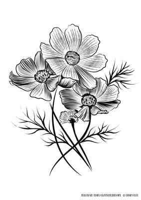 Cosmos Floral Digital Stamp / Colouring