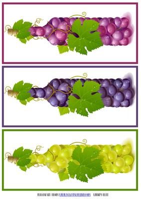 Toppers for Winelovers - Dl Toppers