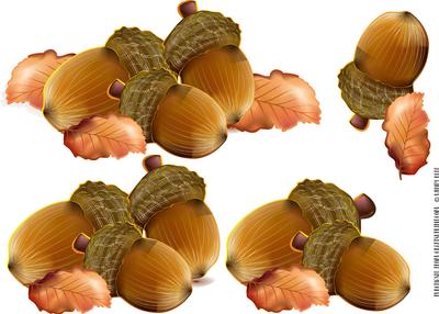 Acorn Decoupage