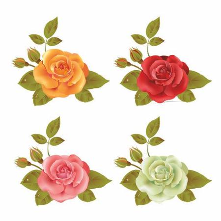 4 Budding Roses Cu4cu