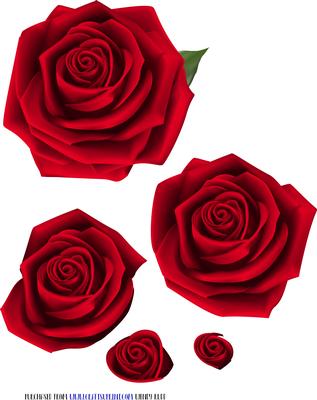 Red Rose Decoupage 2