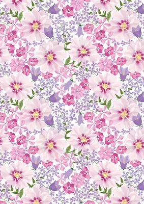 Cosmos & Bluebell Backing Paper Card / Scrapbook 3