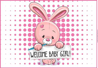 New Baby Girl Bunny Rabbit Card Front / Topper