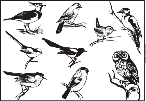 Engraved Birds - Card front / Topper