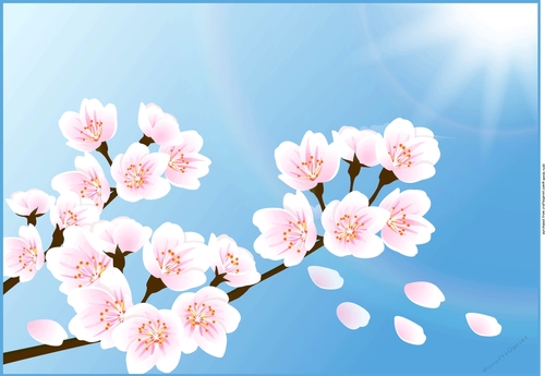 Cherry Blossom Floral card front / topper