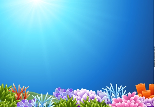 Coral reef card front / topper Under the sea