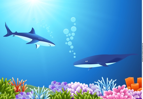 SHARK WHALE - Card front topper under the sea