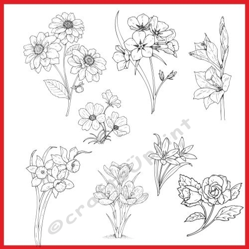 Floral Digital stamps - card fronts / toppers