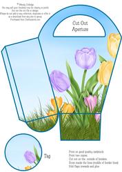 Spring Gift Bag