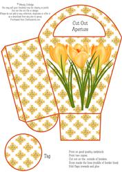 Crocus Gift Bag / Box