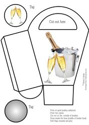 Champagne Celebration Gift Bag / Box