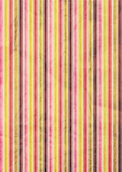 Striped Backing Paper in Bloom