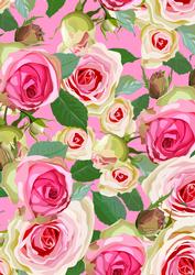 Rose Backing Background Pink