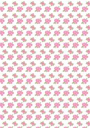 Shabby Chick Backing - Rose & Polka 2