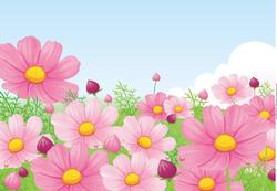Cosmos / Pink Daisies Card Front / Topper