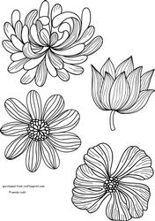 Floral Digital Stamps - Colouring / Toppers