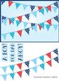 Male / Father's Day / Masculine Bunting Banners - Topper