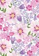 Cosmos & Bluebell Backing Paper Card / Scrapbook