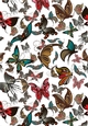 Butterfly Paper for cards / scrapbooking Lrg