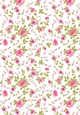 Pink flowers Floral paper for cards/ scrapbook lrg