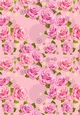 Pink Rose, butterflies & daisies paper - card / scrapbooks lrg
