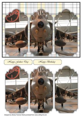 Harrier in Hanger