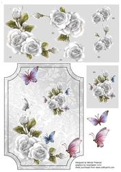 White Rose Anniversary