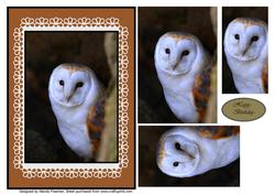 Owl Pyramage