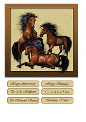 Wild Stallions