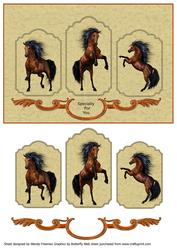 Wild Stallion Tryptic