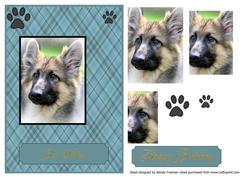German Shepherd Pyramage